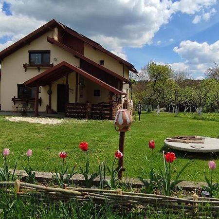 Cottage In Traditional Village Bradulet, Arges County المظهر الخارجي الصورة