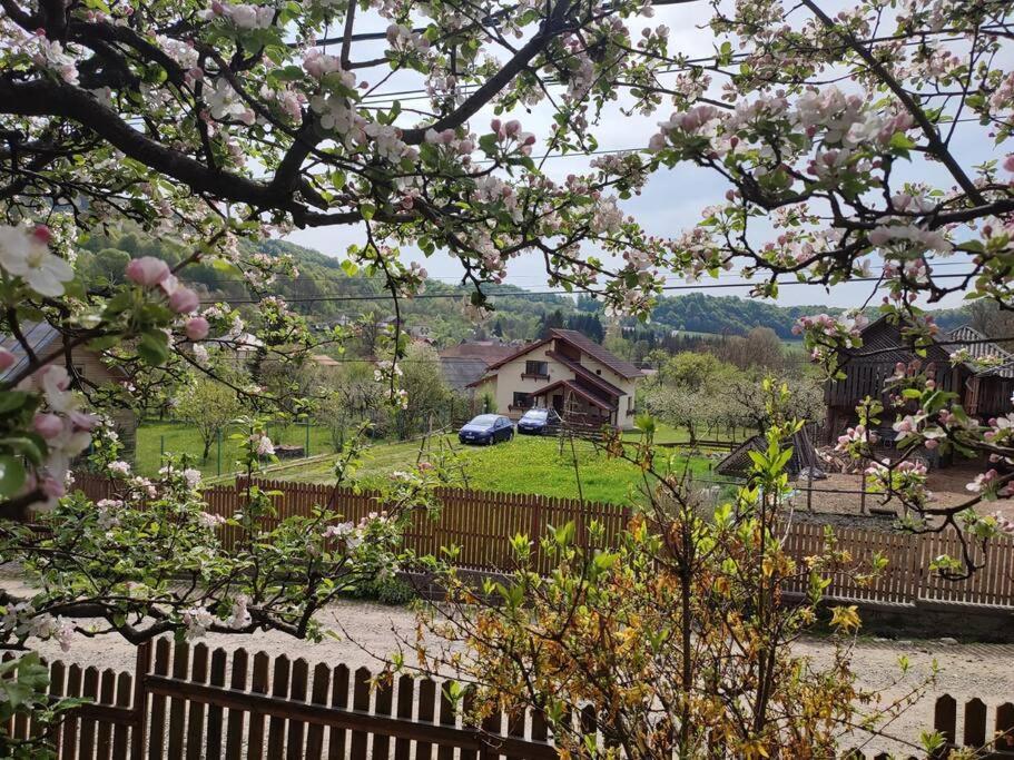 Cottage In Traditional Village Bradulet, Arges County المظهر الخارجي الصورة