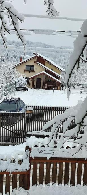 Cottage In Traditional Village Bradulet, Arges County المظهر الخارجي الصورة
